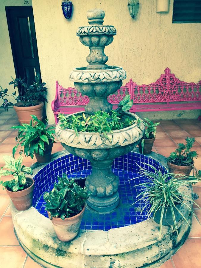 Hotel Villa Del Sol Expo غوادالاجارا المظهر الخارجي الصورة